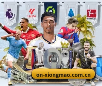on-xiongmao.com.cn APP